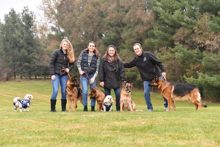 Jumping Dog Training Phoenix AZ: Proven Fixes That Work